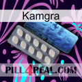 Kamgra 34